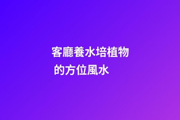 客廳養水培植物 的方位風水